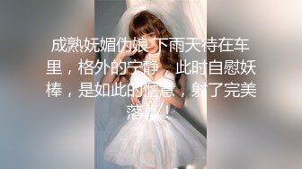 成熟妩媚伪娘 下雨天待在车里，格外的宁静，此时自慰妖棒，是如此的惬意，射了完美落幕！