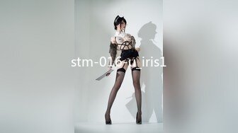 stm-016-u_iris1