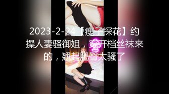 2023-2-24【瘦子探花】约操人妻骚御姐，穿开档丝袜来的，翘起肥臀太骚了