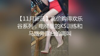 各种方法折磨性感丝袜美女空姐