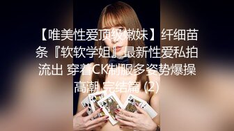 熟女控，愛艹老阿姨大神記錄和幾個肥臀老熟婦的啪啪，老阿姨會伺候人，國語對白