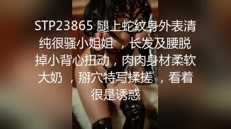 STP23865 腿上蛇纹身外表清纯很骚小姐姐 ，长发及腰脱掉小背心扭动，肉肉身材柔软大奶 ，掰穴特写揉搓 ，看着很是诱惑