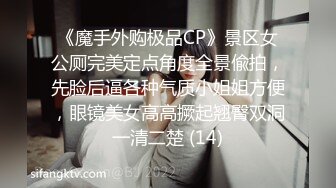 【精品CP】高档酒吧喝多了去嘘嘘的高品质美女，颜值身材的绝对佳作 (6)