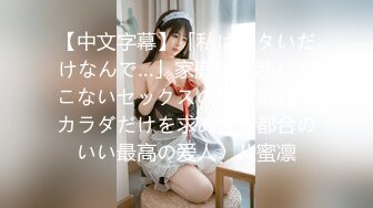 【中文字幕】「私はシタいだけなんで…」家庭に干渉してこないセックスの相性抜群なカラダだけを求め合う都合のいい最高の爱人　八蜜凛