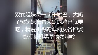 【下集】调教两只骚狗日记回忆,锁吊开洞还没插就开始射精,主人站着打桩把两个骚狗打趴下了