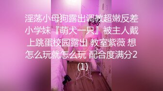 [MIDE-407] 女友被混混們睡走卻無力抵抗 冬月楓