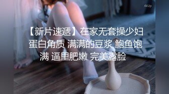 极品熟女美少妇内裤五颜六色的，网袜后入操逼，大肥屁股真爽，毒龙龟头蛋蛋和菊花