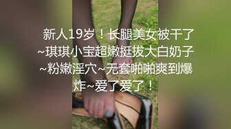 淫爱diary 与碎花裙巨乳女友插入自摸淫叫对白