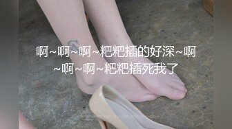 长治传媒 CZ003 美妻蜜月的爱抚 夏雨荷