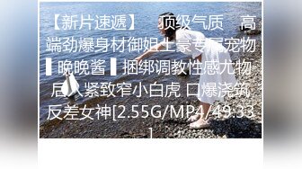 国产麻豆AV MD MD0204 痴汉外送员 程诗诗