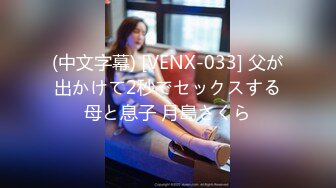 (中文字幕) [VENX-033] 父が出かけて2秒でセックスする母と息子 月島さくら