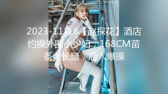 2023-11-16【赵探花】酒店约操外围小少妇，168CM苗条大长腿，后入爆操