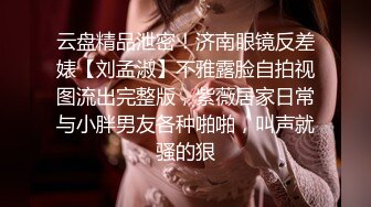 云盘精品泄密！济南眼镜反差婊【刘孟淑】不雅露脸自拍视图流出完整版，紫薇居家日常与小胖男友各种啪啪，叫声就骚的狠