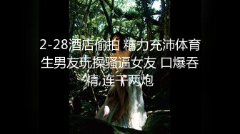 onlyfans淫妻绿帽【swingdog】 约单男3p啪啪 无套输出最新合集【496V】 (160)