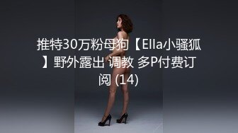 推特30万粉母狗【Ella小骚狐】野外露出 调教 多P付费订阅 (14)