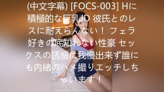 黏黏团子兔 NO.039 女仆小叽