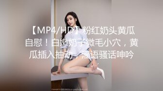 XK-8074 面馆传人 斟茶敬师傅 跪下含龙根