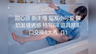 甜心派 新主播 短发小可爱 露奶发骚诱惑 特写BB 道具插B 口交操B大秀  (1)