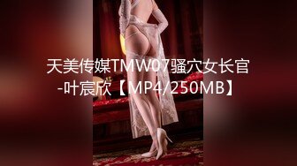 天美传媒TMW07骚穴女长官-叶宸欣【MP4/250MB】