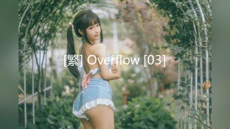 [繁] Overflow [03]